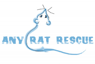 Any Rat Rescue - Pet Shelter and Rescue in Scottsdale, Arizona