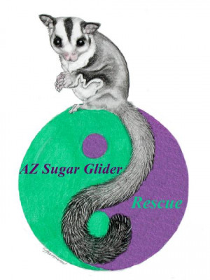 AZ Sugar Glider Rescue - Pet Shelter and Rescue in Phoenix, Arizona