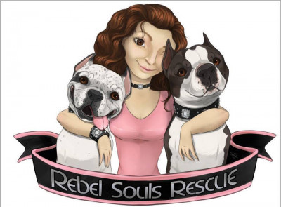 Rebel Souls Rescue - Pet Shelter and Rescue in Redmond, Oregon