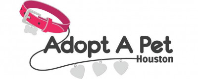 Adopt A Pet Houston.org - Pet Shelter and Rescue in Houston, Texas
