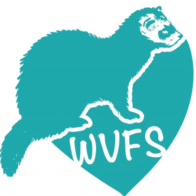 Willamette Valley Ferret Shelter - Pet Shelter and Rescue in Carlton, Oregon