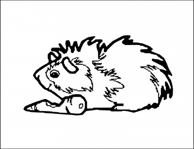 The Critter Corral Guinea Pig Rescue - Pet Shelter and Rescue in Chicago Heights, Illinois