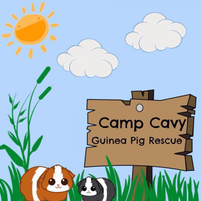 Camp Cavy Rescue - Pet Shelter and Rescue in Michigan City, Indiana