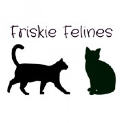 Friskie Felines MI - Pet Shelter and Rescue in Wyandotte, Michigan