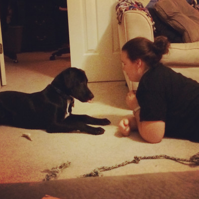 A Wing And A Prayer - Pet Shelter and Rescue in Lexington, Kentucky