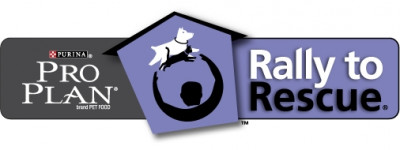 Willow Creek Sanctuary - Pet Shelter and Rescue in Danville, Kentucky