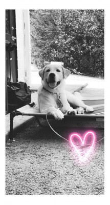 Friends Of Powell Co.