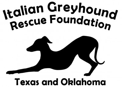Italian Greyhound Rescue Foundation Texas And Oklahoma - Pet Shelter and Rescue in Argyle, Texas