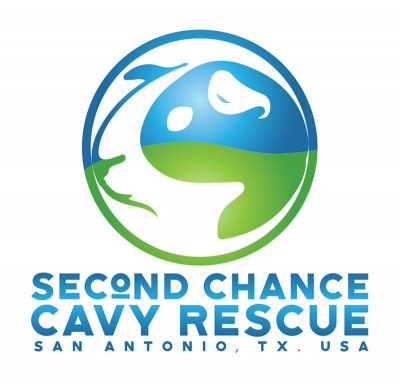Second Chance Cavy Rescue - Pet Shelter and Rescue in Olmos Park, Texas