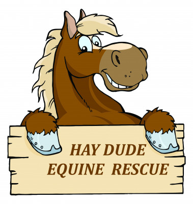 Hay Dude Equine Rescue - Pet Shelter and Rescue in Boerne, Texas