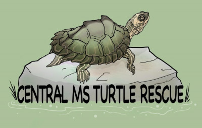 Central MS Turtle Rescue - Pet Shelter and Rescue in Florence, Mississippi