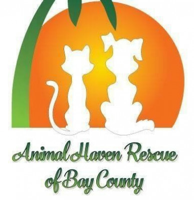 Animal Haven Rescue Of Bay County Florida, Inc - Pet Shelter and Rescue in Panama City, Florida