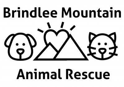 Brindlee Mountain Animal Rescue Inc - Pet Shelter and Rescue in Joppa, Alabama