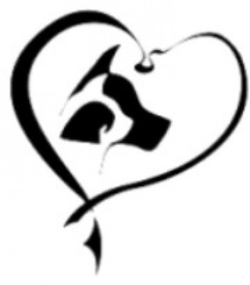 Animal Medical Center Morgantown - Pet Shelter and Rescue in Morgantown, West Virginia