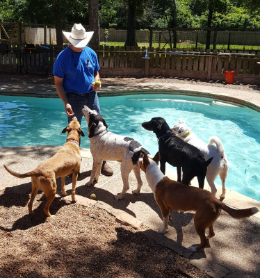 Humane Animal Rescue Project - Pet Shelter and Rescue in Hempstead, Texas