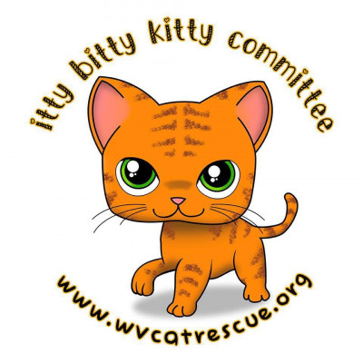 Itty Bitty Kitty Committee, WV - Pet Shelter and Rescue in Charleston, West Virginia