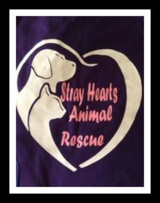 Stray Hearts Rescue - Pet Shelter and Rescue in Inez, Kentucky