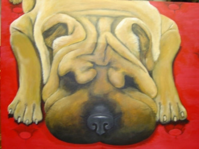 North American Shar-Pei Rescue (NASPR) - Pet Shelter and Rescue in Houston, Texas