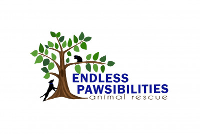 Endless Pawsibilities Animal Rescue - Pet Shelter and Rescue in Belle Isle, Florida
