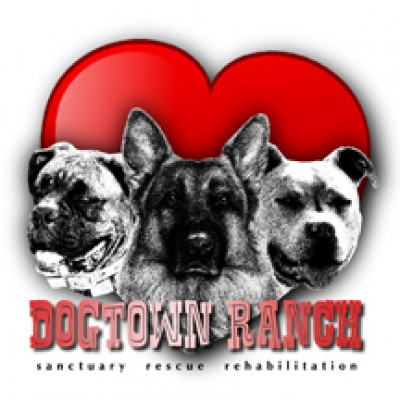 Dogtown Ranch Sanctuary, Rescue & Rehab Center - Pet Shelter and Rescue in Rockdale, Texas