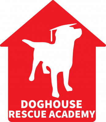 Doghouse Rescue Academy Inc - Pet Shelter and Rescue in Estero, Florida