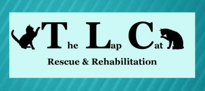 The Lap Cat Rescue  Rehabilitation Inc - Pet Shelter and Rescue in Oxford, Georgia