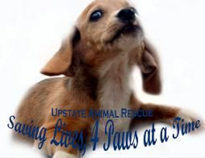 Upstate Animal Rescue Foundation Of South Carolina - Pet Shelter and Rescue in Townville, South Carolina