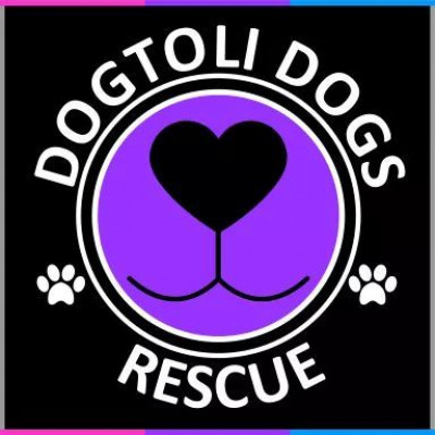 Dogtoli Dogs Rescue Inc. - Pet Shelter and Rescue in Pompano Beach, Florida