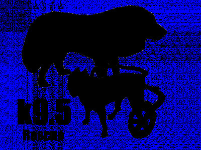 K9.5 Rescue - Pet Shelter and Rescue in Greenville, South Carolina