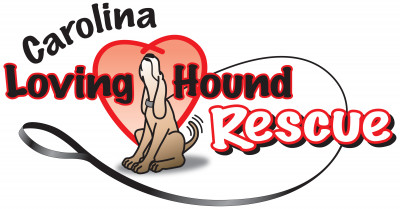 Carolina Loving Hound Rescue - Pet Shelter and Rescue in Greenville, South Carolina