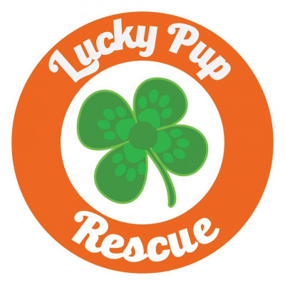 Lucky Pup Rescue - Pet Shelter and Rescue in Greenville, South Carolina