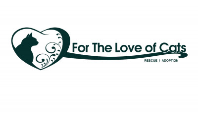 For The Love Of Cats Adopt - Pet Shelter and Rescue in Salem, South Carolina
