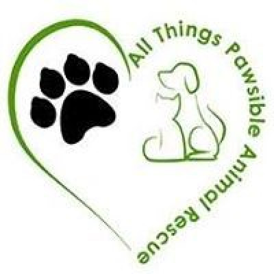 All Things Pawsible Animal Rescue - Pet Shelter and Rescue in Doral, Florida