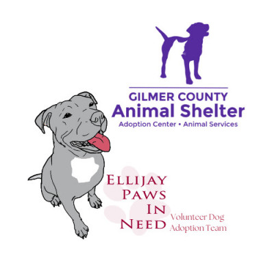 Gilmer County Animal Shelter - Pet Shelter and Rescue in Ellijay, Georgia