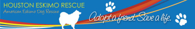 Houston Eskie Rescue - Pet Shelter and Rescue in Houston, Texas