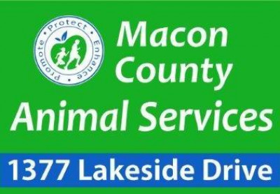 Macon County Animal Services - Pet Shelter and Rescue in Franklin, North Carolina