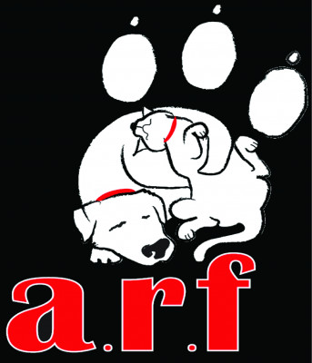 Jackson County Humane Society (ARF) - Pet Shelter and Rescue in Sylva, North Carolina