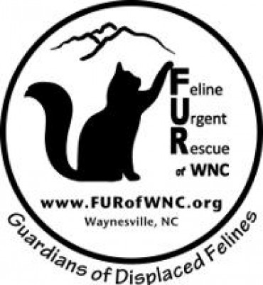 Feline Urgent Rescue Of Western North Carolina - Pet Shelter and Rescue in Waynesville, North Carolina