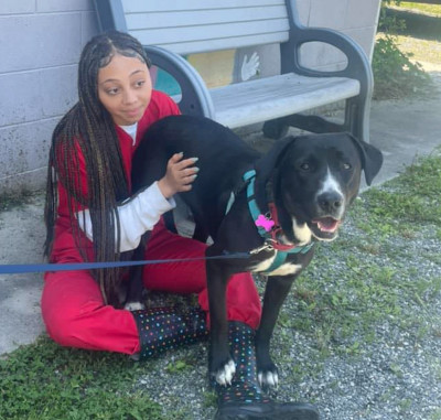 Madison County Animal Services - Pet Shelter and Rescue in Marshall, North Carolina