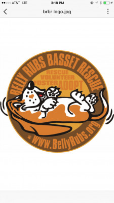 Belly Rubs Basset Rescue - Pet Shelter and Rescue in Farragut, Tennessee