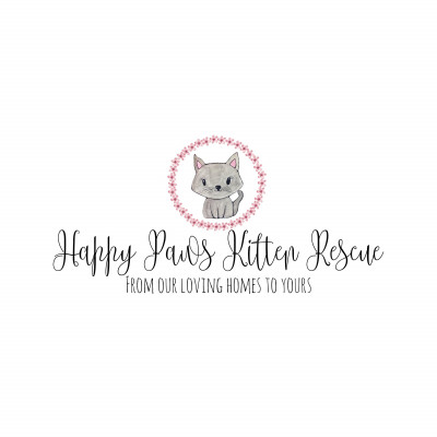 Happy Paws Kitten Rescue - Pet Shelter and Rescue in Knoxville, Tennessee