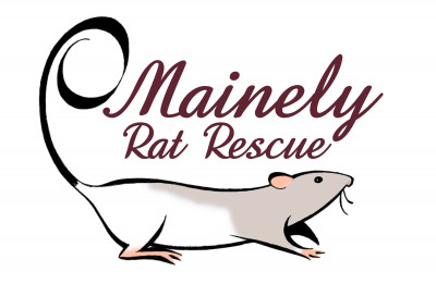 Mainely Rat Rescue - Pet Shelter and Rescue in Auburn, Maine
