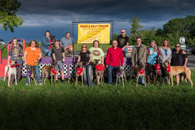 Maine Greyhound Placement Service - Pet Shelter and Rescue in Augusta, Maine