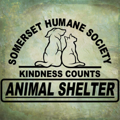 Somerset Humane Society - Pet Shelter and Rescue in Skowhegan, Maine