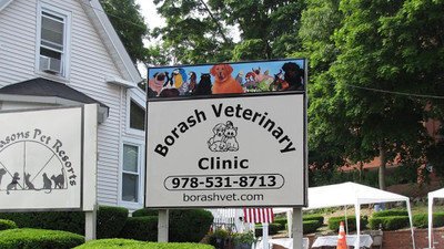 Borash Veterinary Clinic - Pet Shelter and Rescue in Peabody, Massachusetts