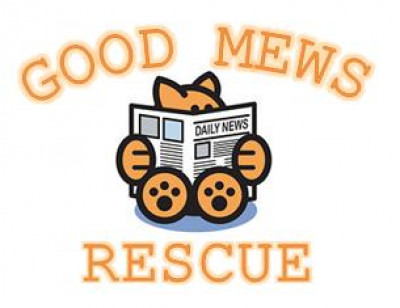 Good Mews Rescue - Pet Shelter and Rescue in Houston, Texas