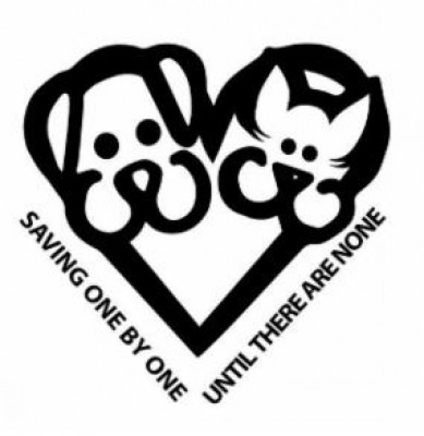 AARF Animal Rescue And Sanctuary  - Pet Shelter and Rescue in Mayer, Arizona