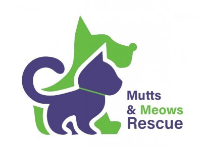 Mutts & Meows Rescue - Pet Shelter and Rescue in Missouri City, Texas