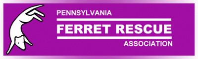 Pennsylvania Ferret Rescue Association Of Centre C - Pet Shelter and Rescue in State College, Pennsylvania