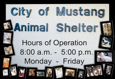 Mustang Animal Welfare Center - Pet Shelter and Rescue in Mustang, Oklahoma